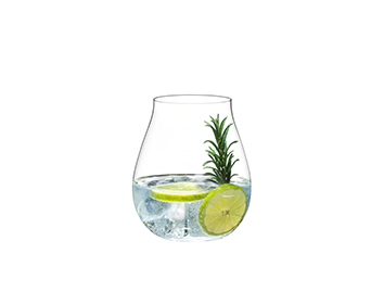 Riedel Gin Set