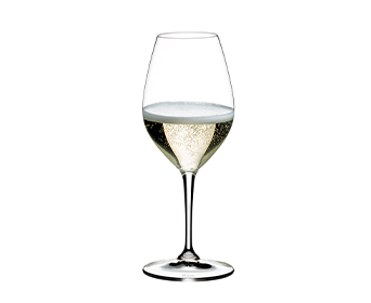 Vinum New Champagne Glass